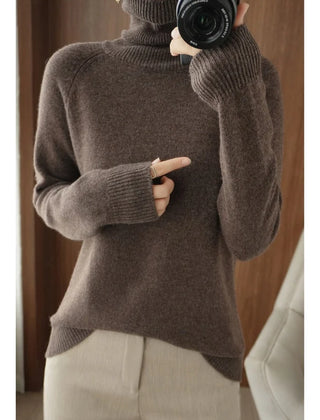 Camille Turtleneck Sweater in Brown