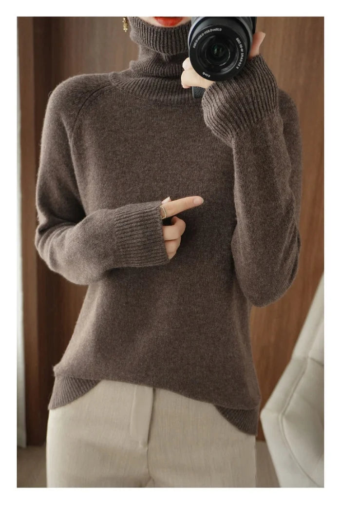 Camille Turtleneck Sweater in Brown